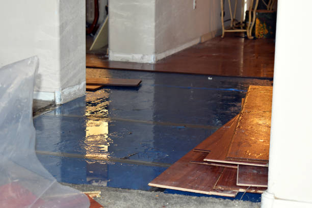 Professional Burst Pipe Water Damage technician working in Cohasset, MA